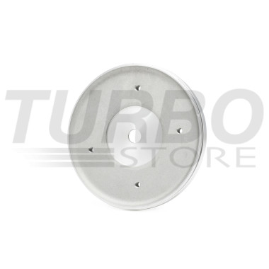Backplate R 0917