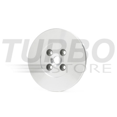 Backplate R 2889