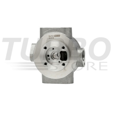 Bearing Housing R 2113