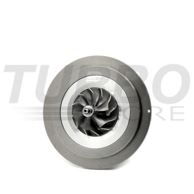 Balanced Core Assy C 0696